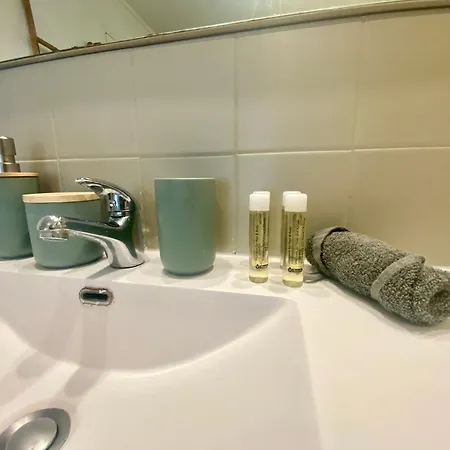 Le Saint Nicaise - Magnifique T2 - 085 Apartment *